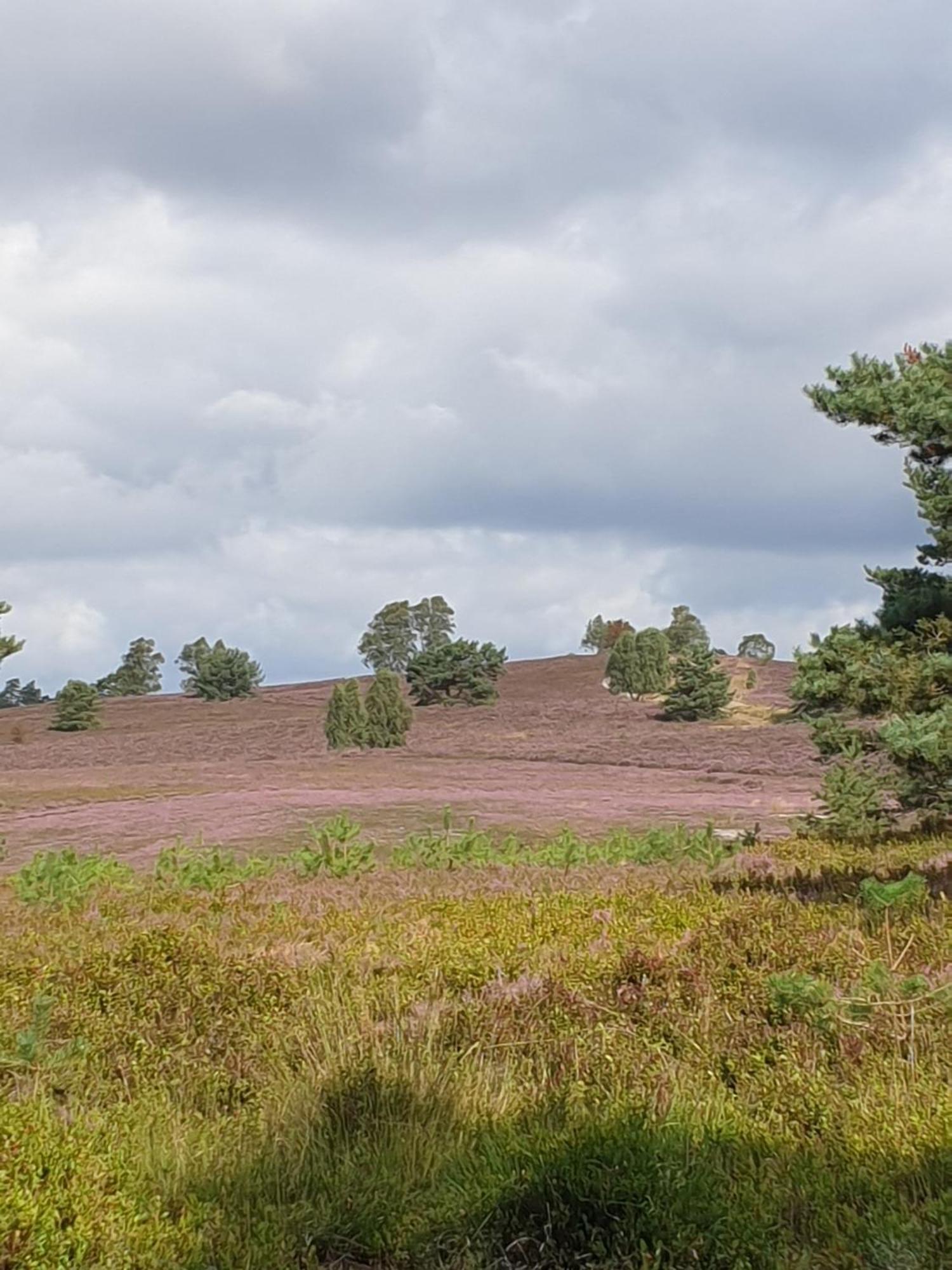 Likehome Suite Buchholz in der Nordheide Buitenkant foto