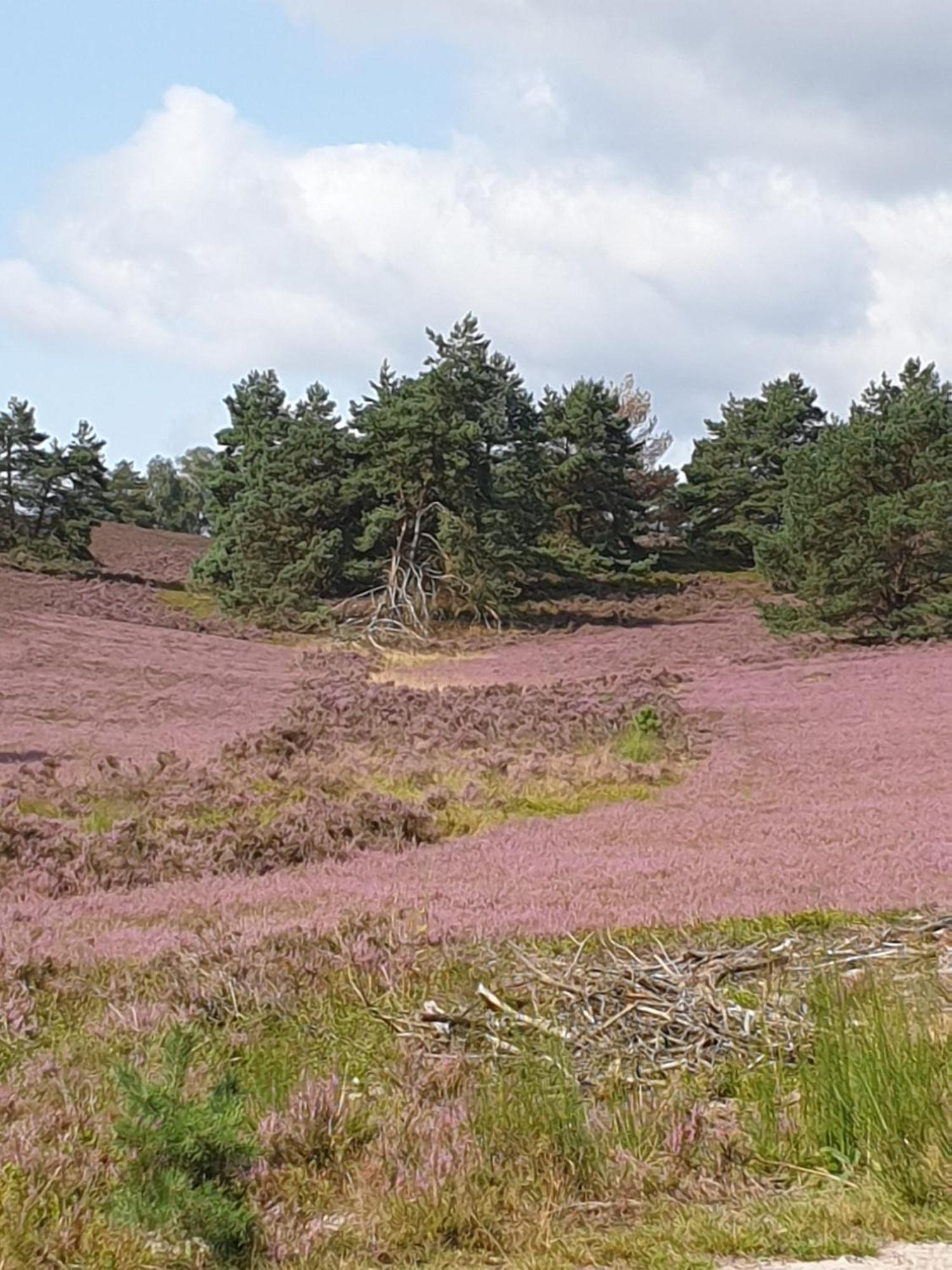 Likehome Suite Buchholz in der Nordheide Buitenkant foto